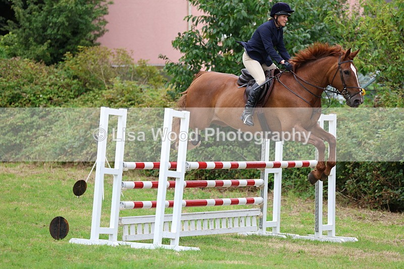 3E7A8368 - Class 8: Senior Foxhunter/1.20m open
