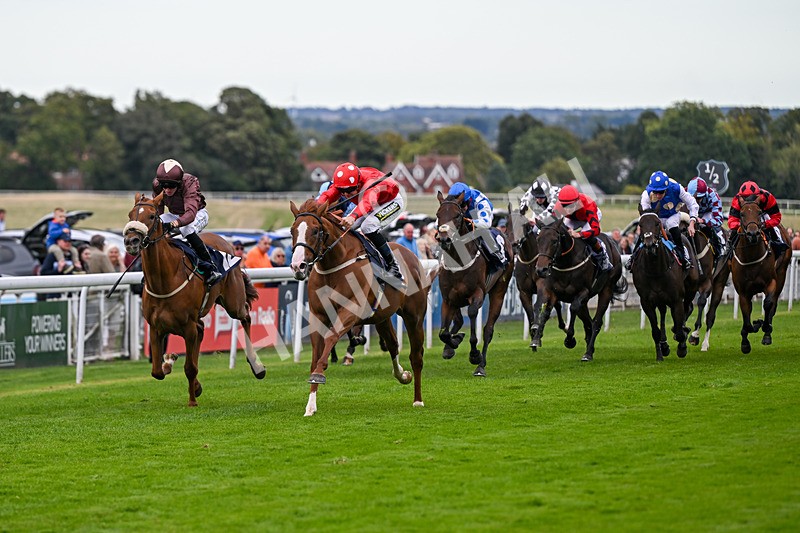 160926-Race 4-Woodvale-0640 - Race 4 3.48pm EBF Restricted Maiden Stakes