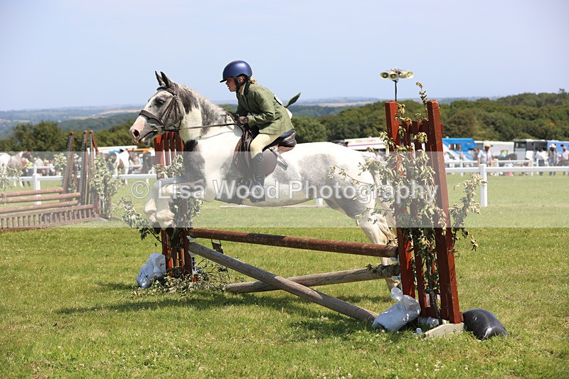 JPP_3199 - Class 22: Working Hunter 70cm