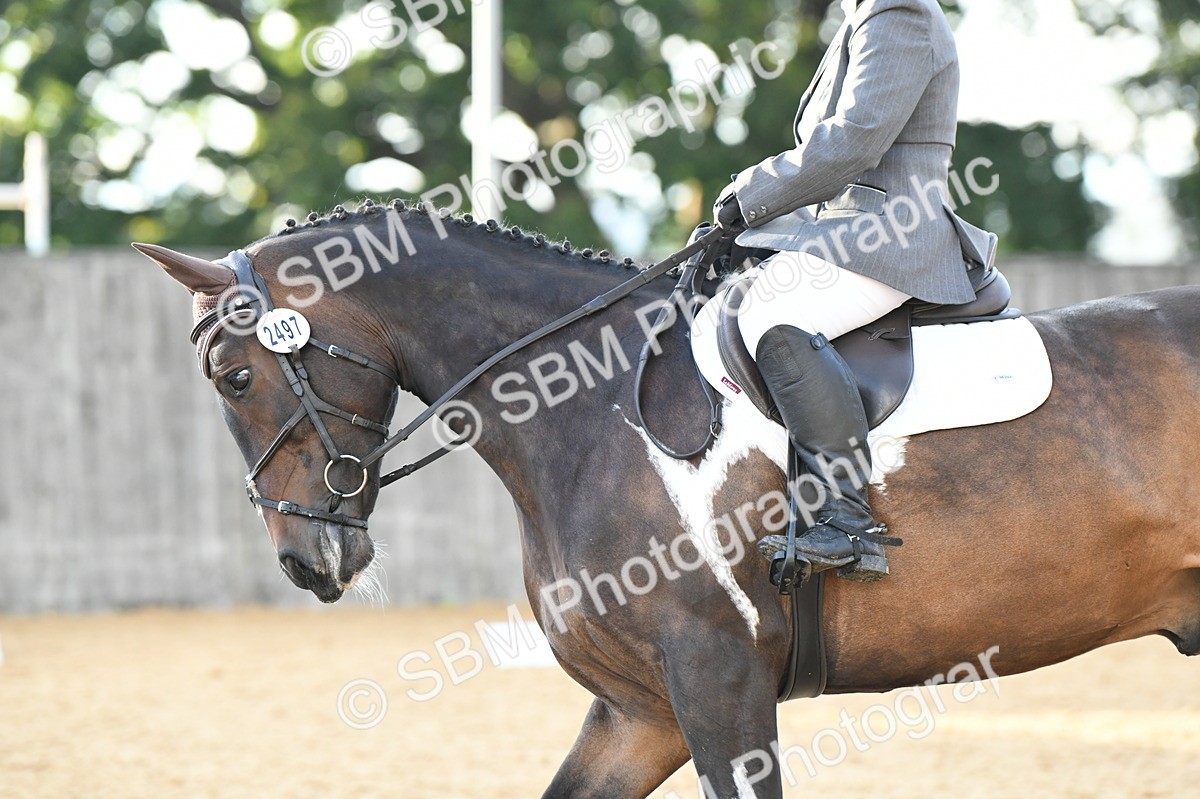 SBM_13396 - D19 Small Tour Championship Elementary 42