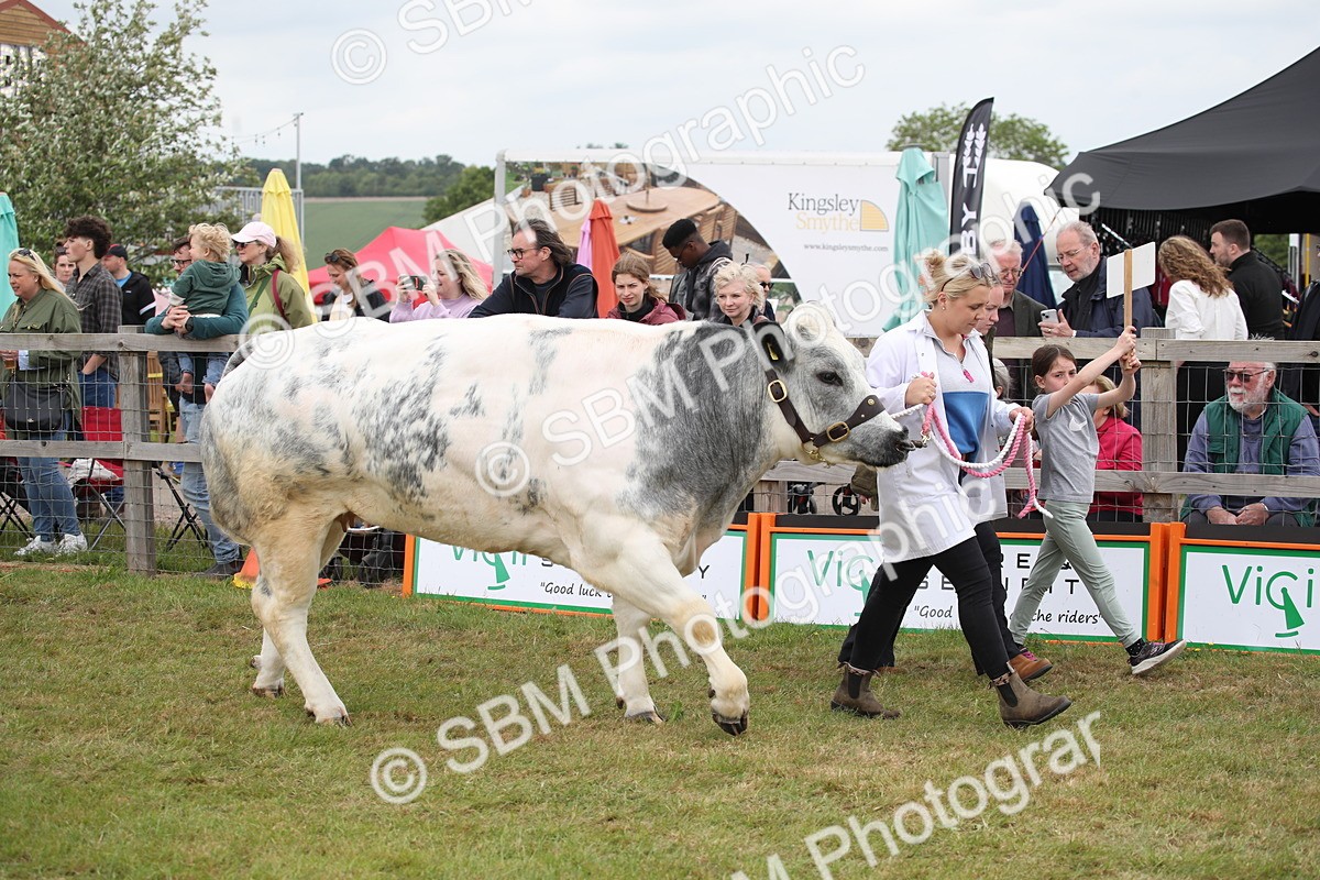 SBM_07821 - Grand Parade