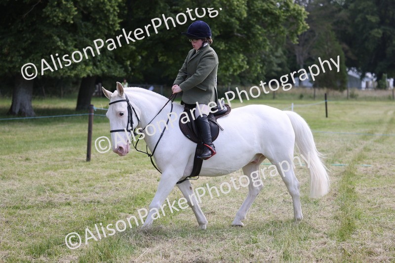 20260614-0781 - Class 20 - Beginners Working Hunter Pony