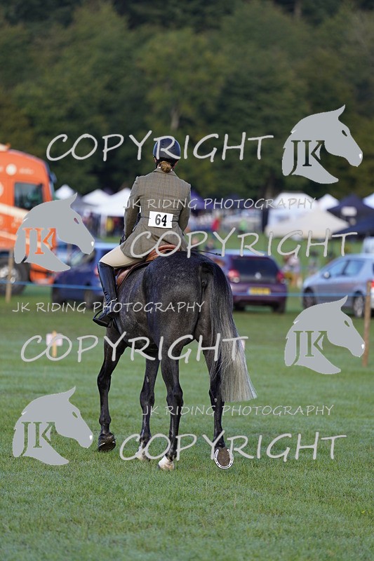 _DSC9394 - Class 8 & 17 Ridden Hunter & Ridden Hunter Pony