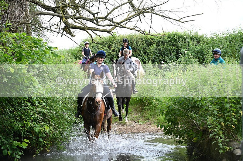 WJ7_1845 - Camera 2 Water Crossing