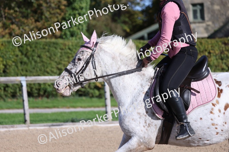 20251005-0117 - Class 2 - 50cm