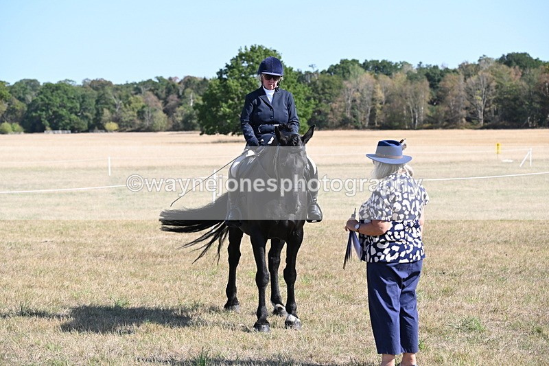 WJ6_7555 - Class 34 Judges Choice