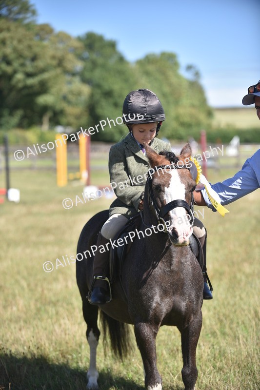 20260906-1017 - Class 7 - Absolute Novice Jumping 35cm
