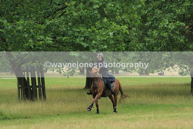 IMF_2452 - Time at Castle Jump 12:29 to 14:06