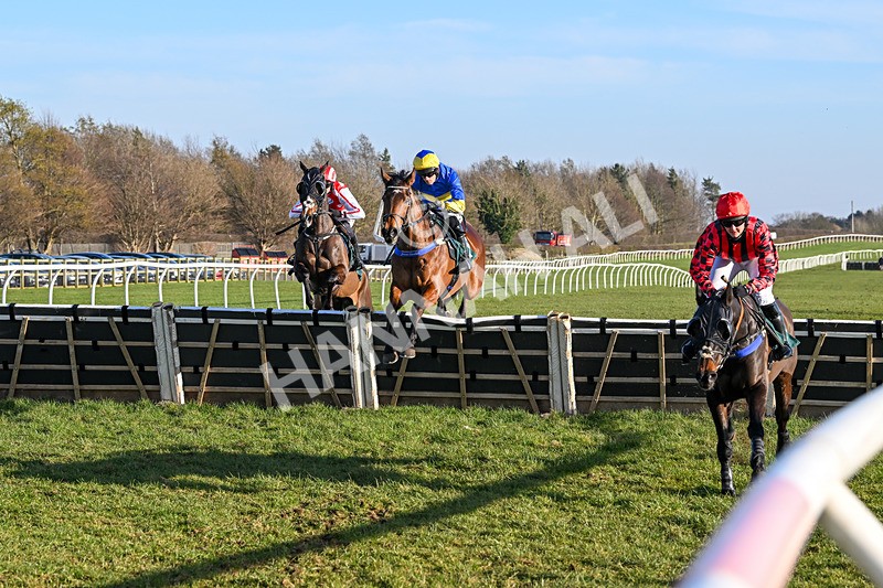 050325-Race 4-Hostile Hotelier-9791 - Race 4