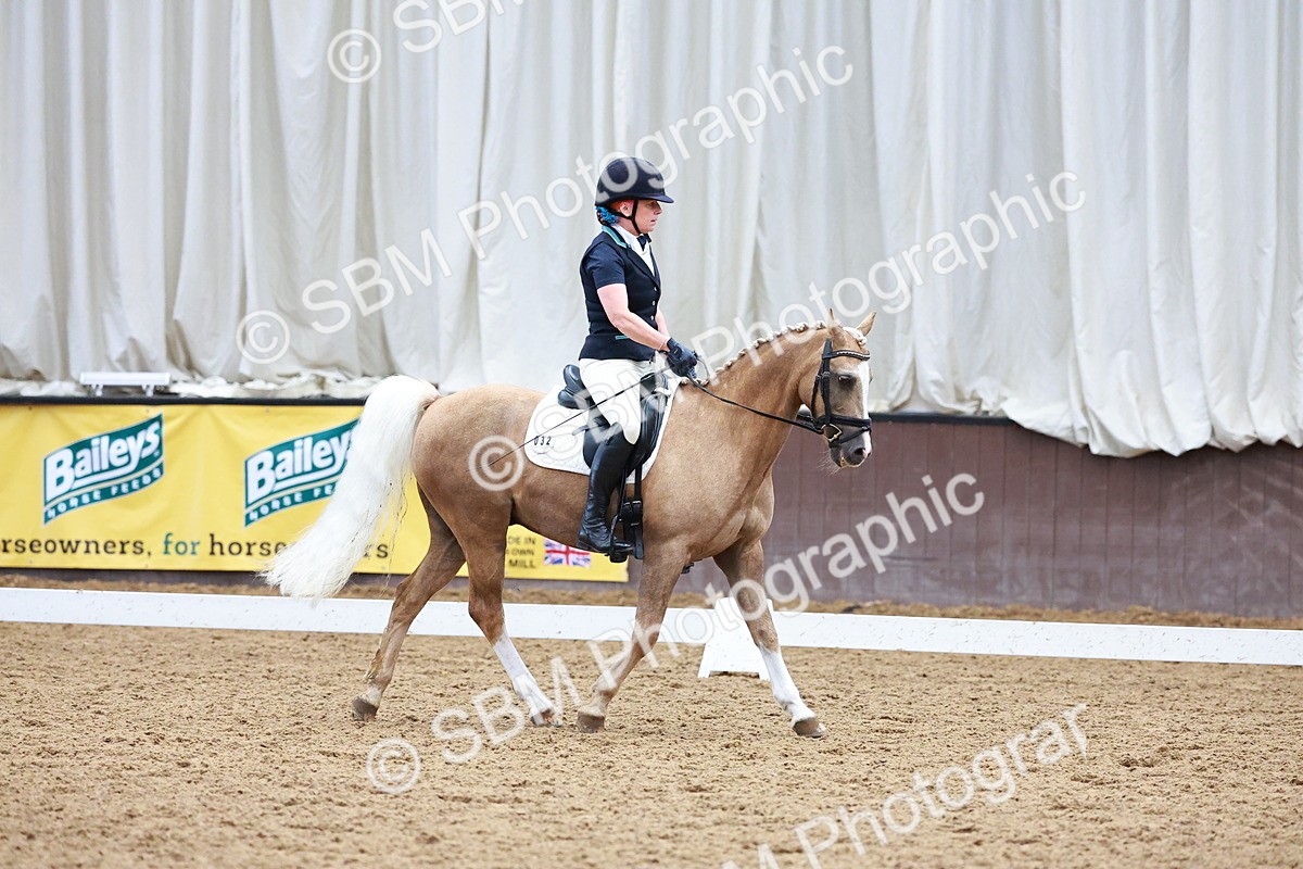 SBM_001202 - Class 5-6 - Novice 1-Elem 1
