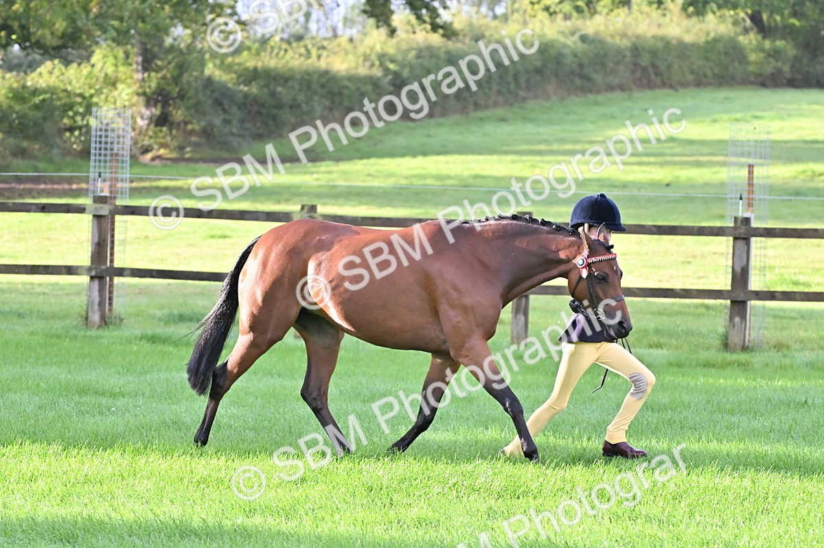 SBM_32618 - S15 - Top Turnout In Hand