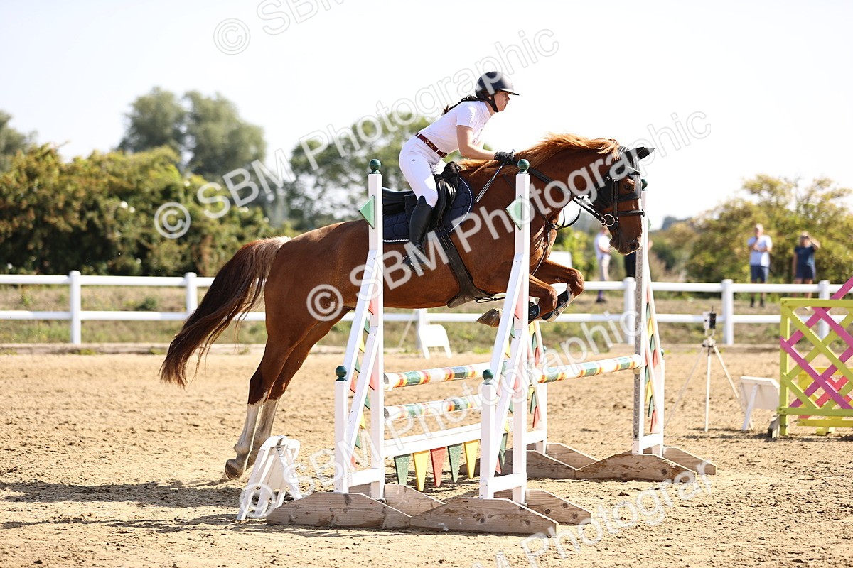 SBM_005642 - Class 9 - Senior British Novice - 90cm