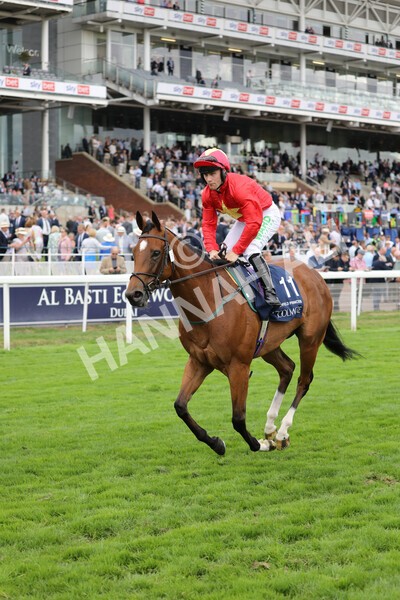 yr19082022r4-92 - Race 4 3.35pm Coolmore Wootton Bassett Nunthorpe Stakes (British Champion Series Race)