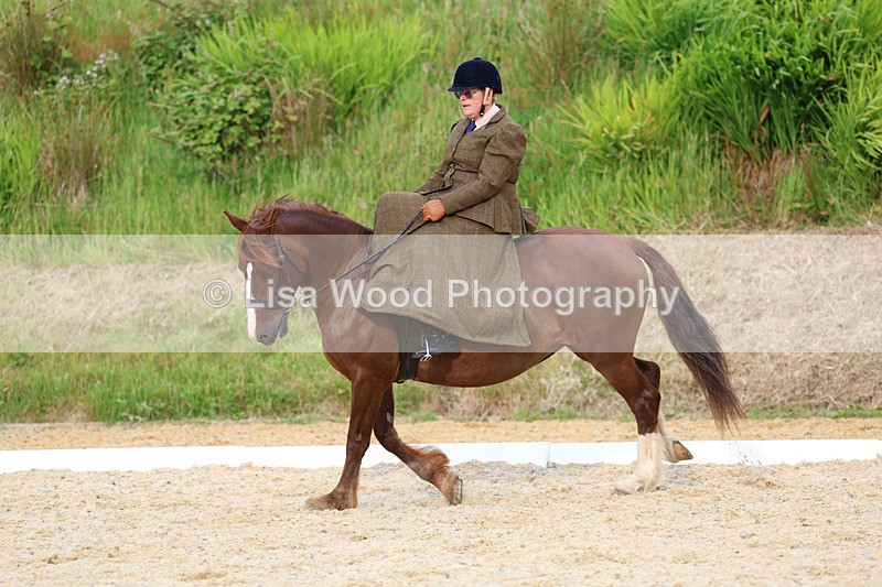 3E7A2076 - Class 3: Prelim 2 2024 Section A