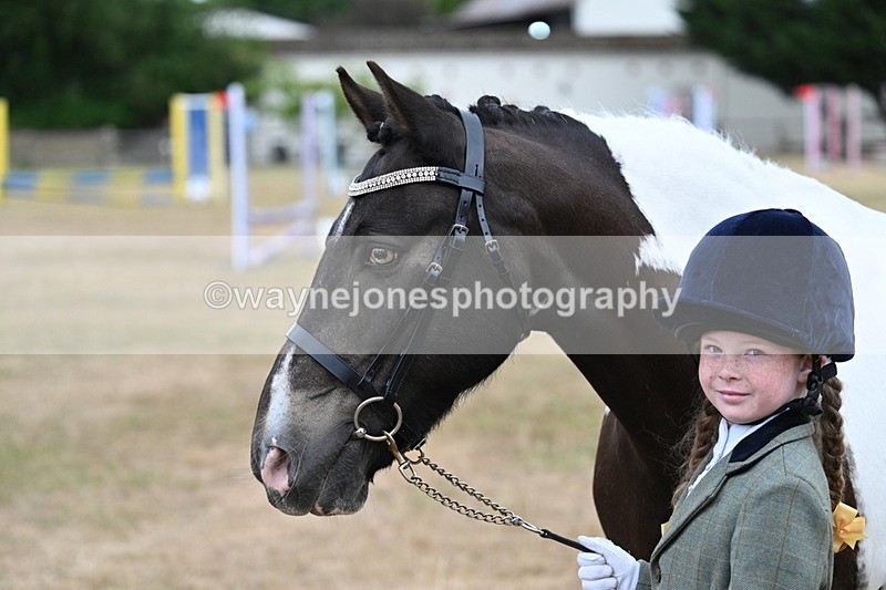 WJ7_9719 - Class 5 Most Handsome Gelding (up to 14.2hh)