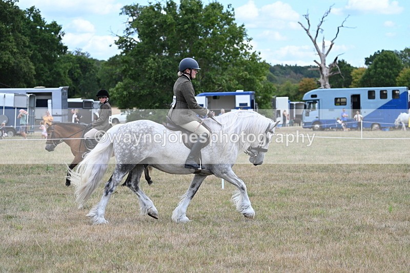 WJ7_4789 - Class 12 Ridden Cob