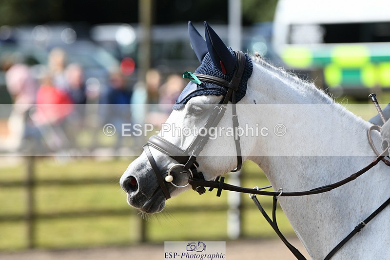 240825X-112503-31868_70cm SJ 1021 to 1140 - 078-794-5952