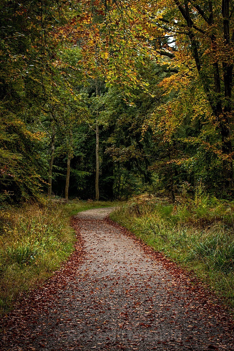  - Autumn