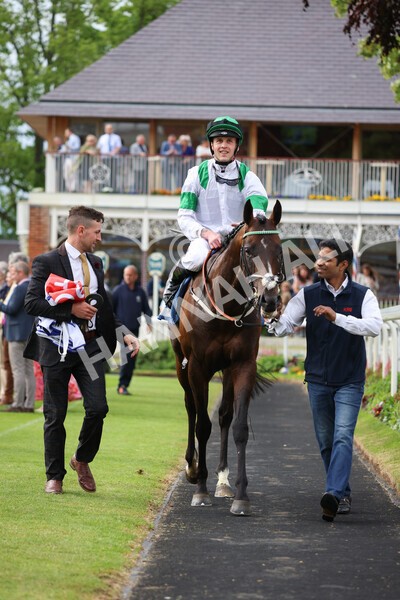 yr22052022r4-35 - Race 4: 5:05pm Sky Bet Sunday Mile