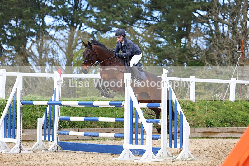 3E7A2074 - Class 8: Senior Foxhunter/1.20 open
