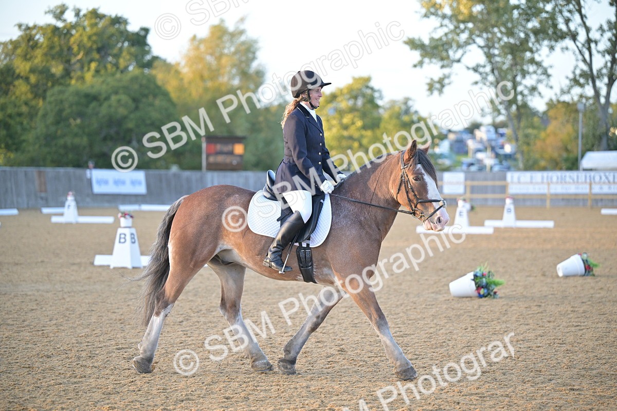 SBM_13527 - D3 - Small Tour Championship Intro 3