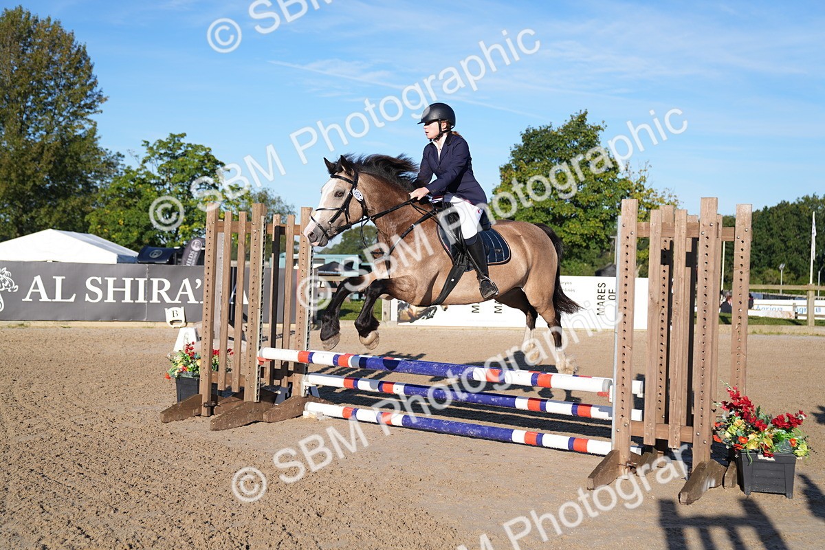 SBM_14049 - J59 - Clear Round - 65cm