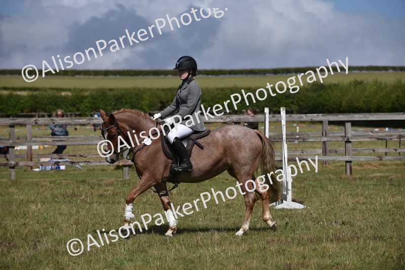 20250831-3991 - Class 12 - Working Hunter Pony 14.2hh and Under