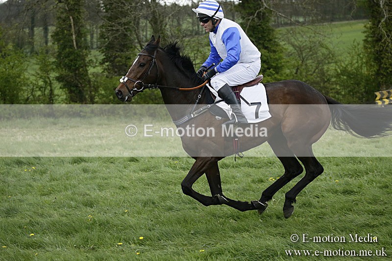 PtP 170417 526 - Old Berks Point-to-Point Lockinge 17/04/17