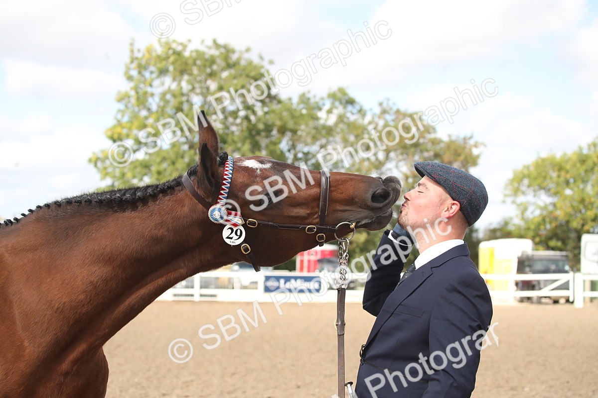 SBM_23460 - Class 604 - 2026 - Area IH Diamond