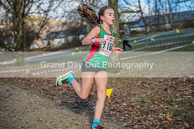 Cumbria XC-275 - Cumbria Cross Country Championships (Junior & Senior Races) Saturday 3rd January 2026