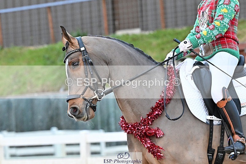 241214-154151-03342 - 138-Tyler.Bradshaw-Igor.VIII