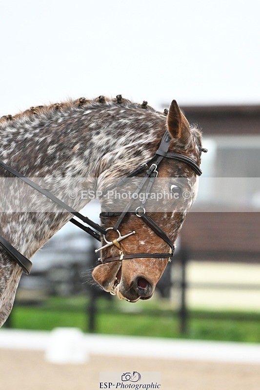 241103-141654-02454 - Prelim 2 - 13.23 to 14.33