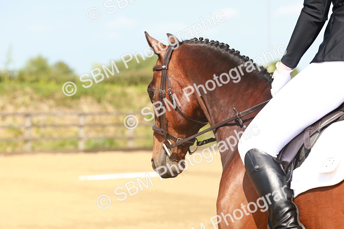 SBM_000041 - Class 1 - Intro 2