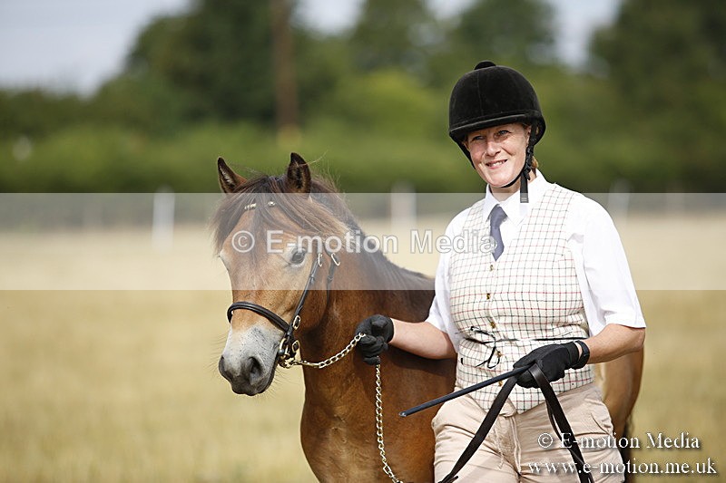 _C7A9177 - BVRC Sow 2018 Ring 2