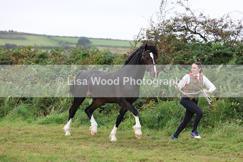 3E7A4114 - Class 15: Two Year Olds