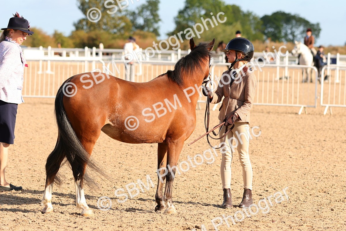 SBM_08662 - Class 203 - Young Handler 10 Years and Under