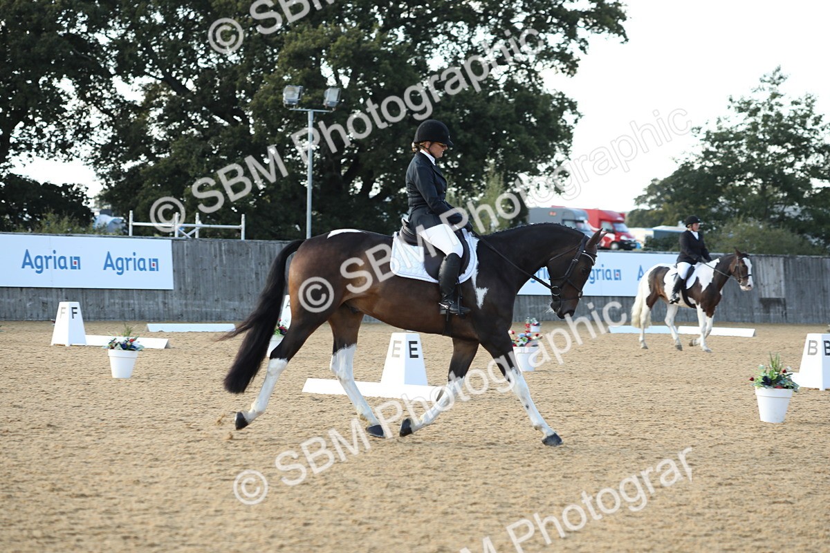 SBM_30360 - D20 - Grand Tour Championship - Elementary 44