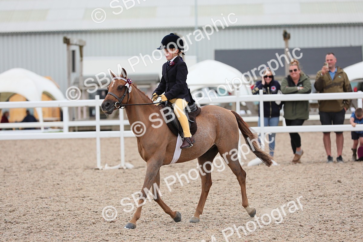SBM_18131 - Class 316 Best Pony/Rider Combination