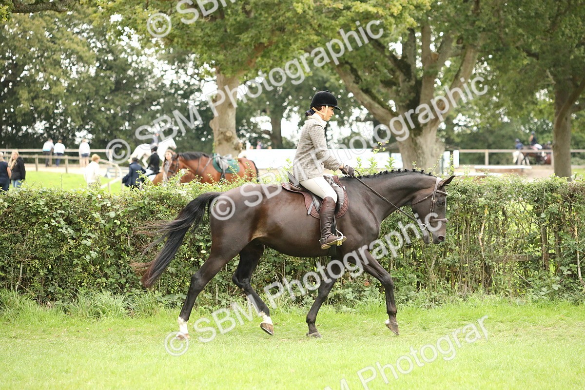 SBM_73680 - S41 - Ridden Equitation (Best Rider)