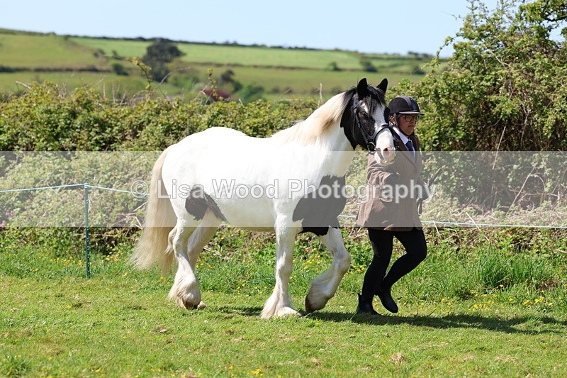 3E7A0250 - Class 19: Best Coloured in Hand