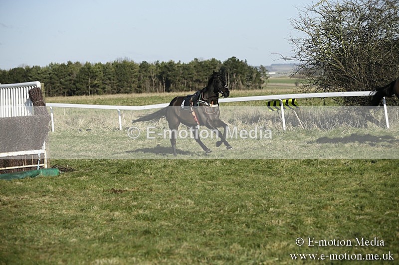 PtP 070118 -350 - Larkhill Racing Club Point to Point Larkhill 07/01/2018