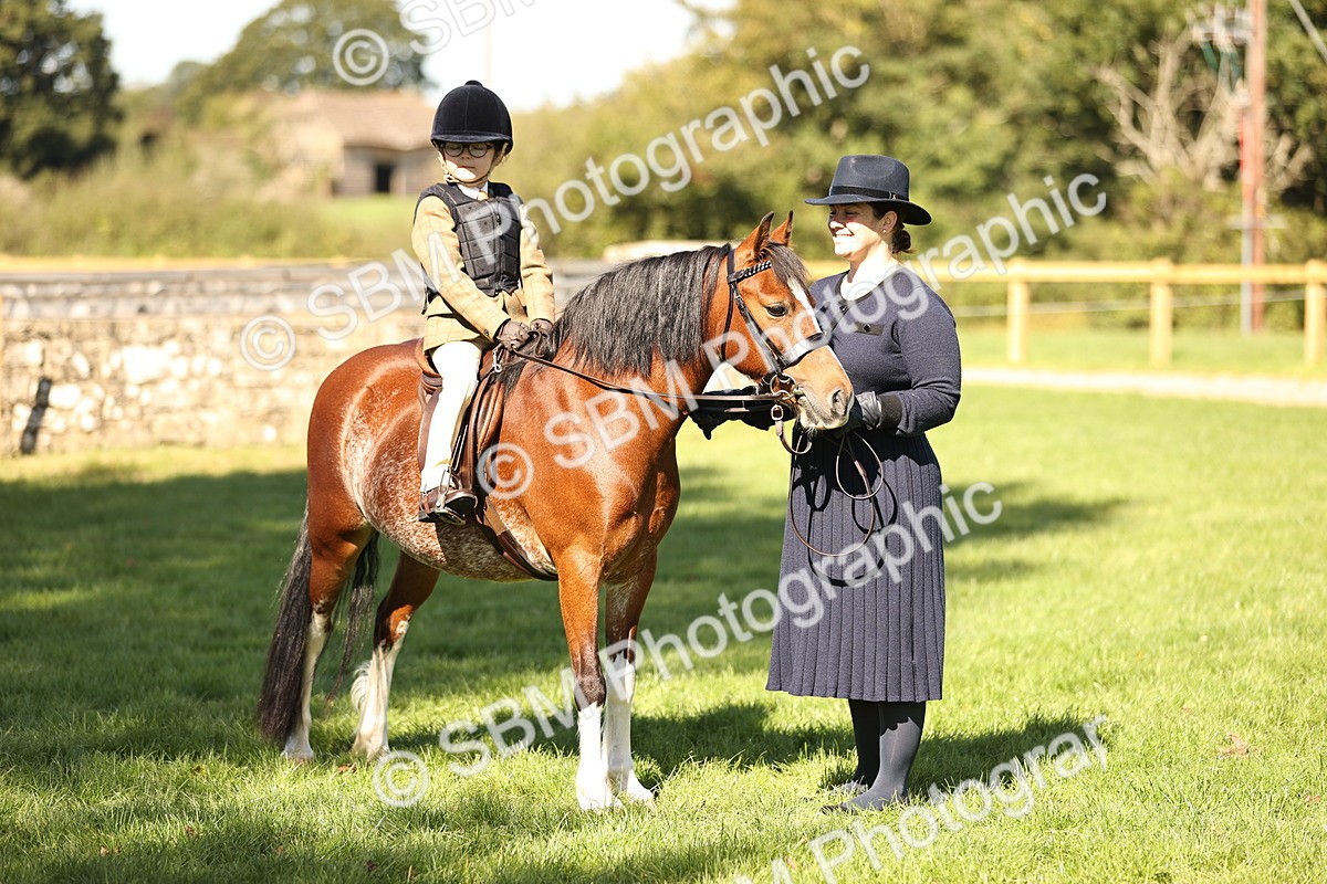 SBM_19273 - S3 - TSR Ridden Pony Showing
