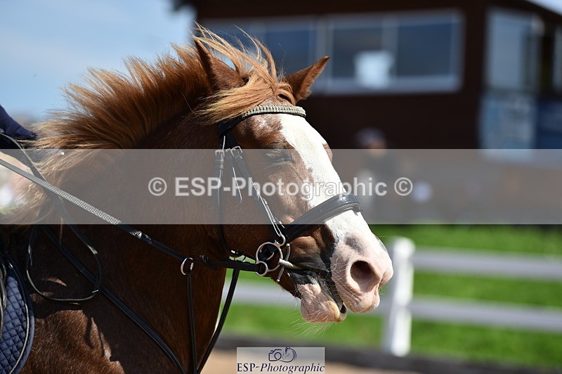 230903A-125150-04564 - Cls 19 Pony Discovery & 90cm Open