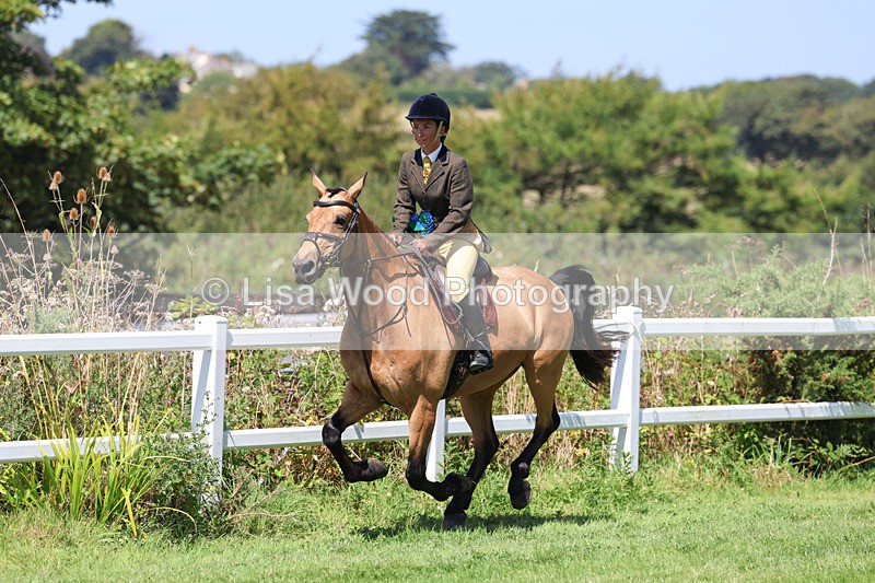 3E7A9222 - Working Hunter Championship