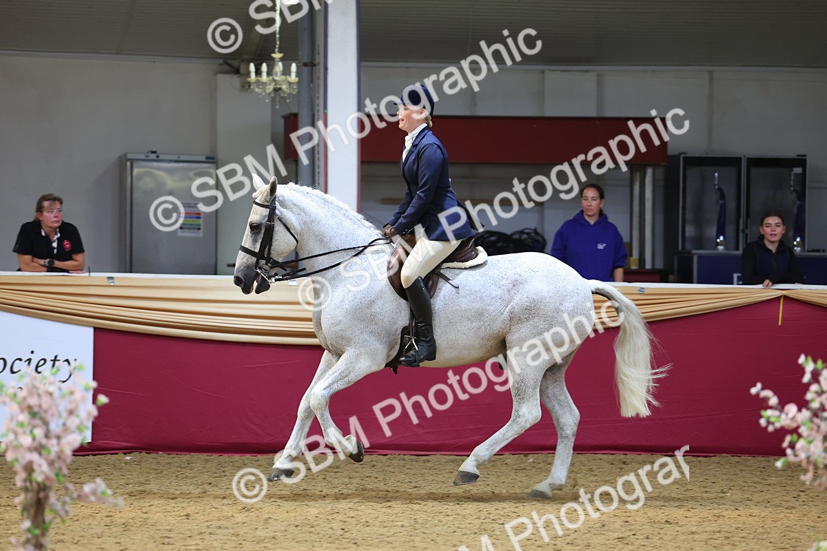 SBM_24184 - Class 905 - Supreme Final - Ridden Veteran