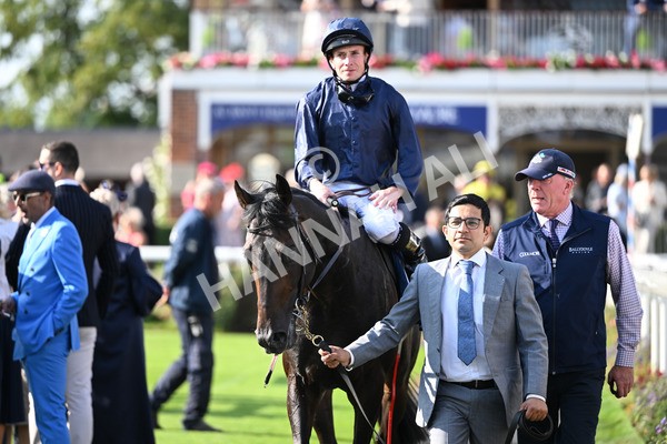 220825-255 Frescobaldi - Race 6 4.45pm British Stallion Studs EBF Convivial Maiden Stakes