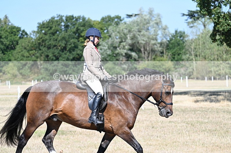 WJ7_3938 - Class 9 Mountain & Moorland Ridden