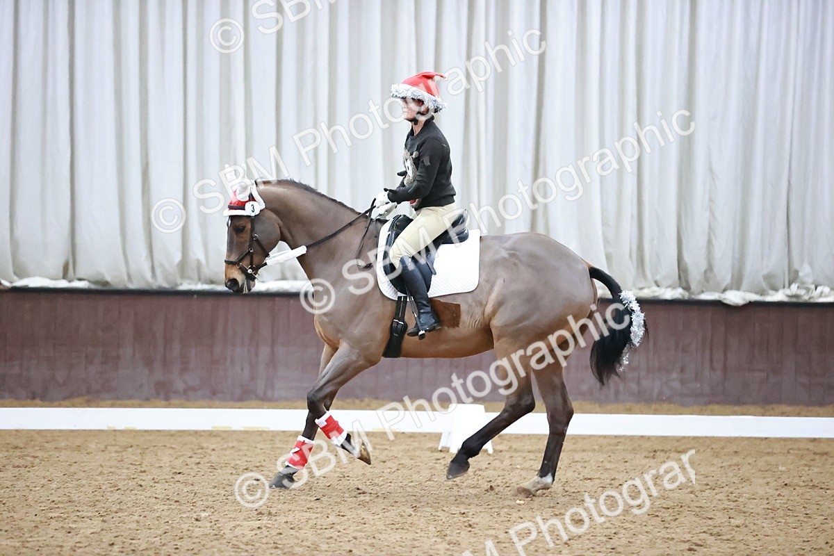 SBM_001160 - Class 7-10 - Novice 1 - Elementary 1