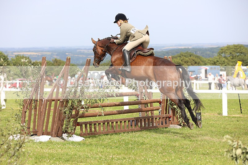 JPP_4074 - Class 24: Working Hunter 90cm