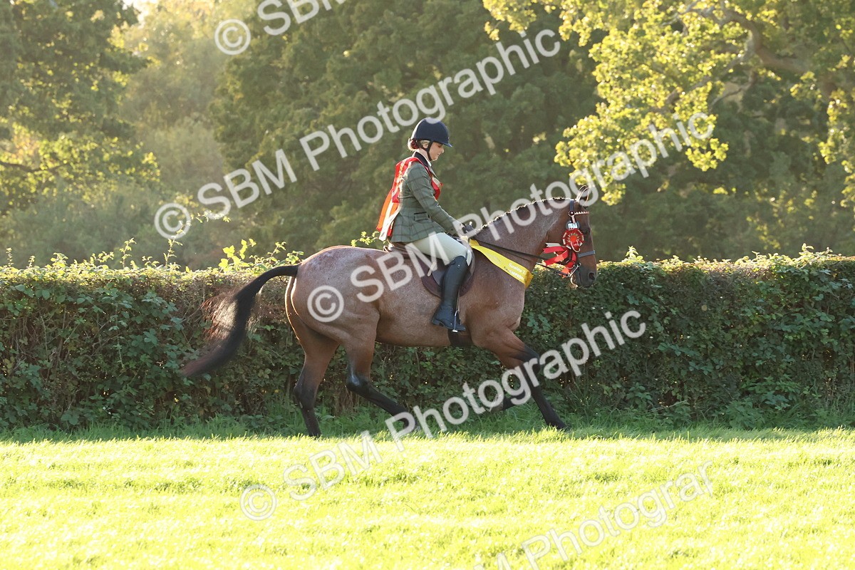 SBM_53197 - Veteran Supreme Championship